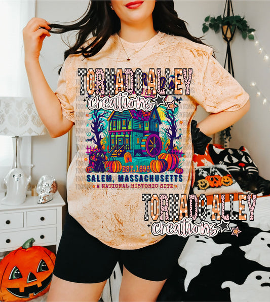 Spooky Witch Museum Tee