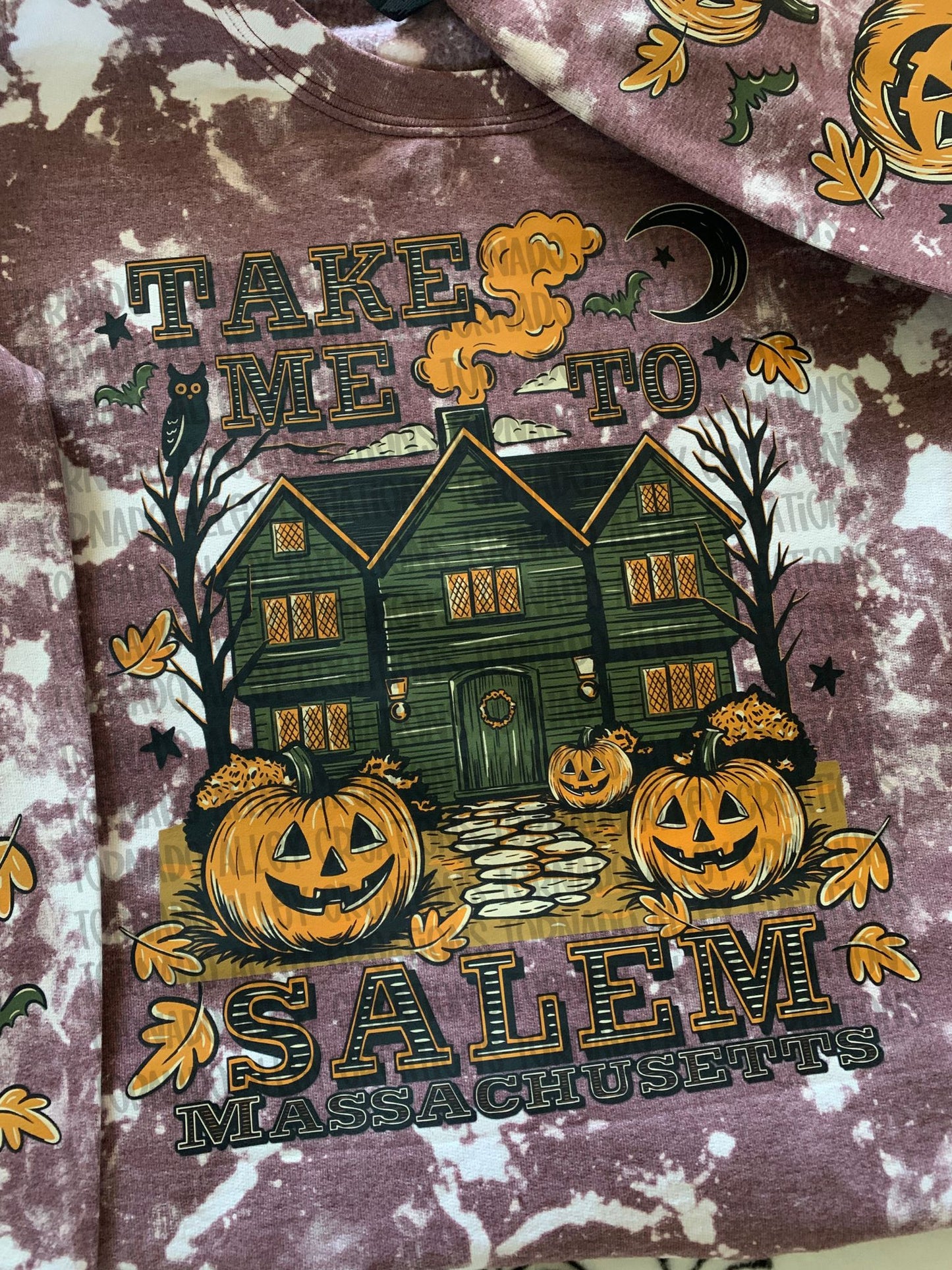 Take Me To Salem Crewneck