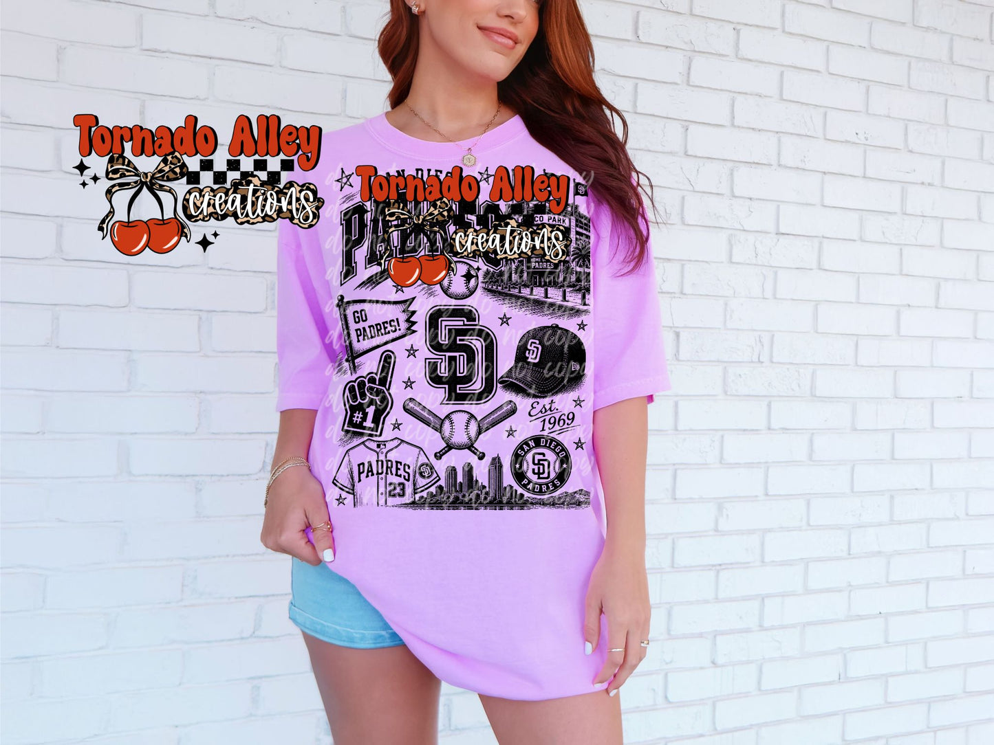 San Diego Baseball Tee