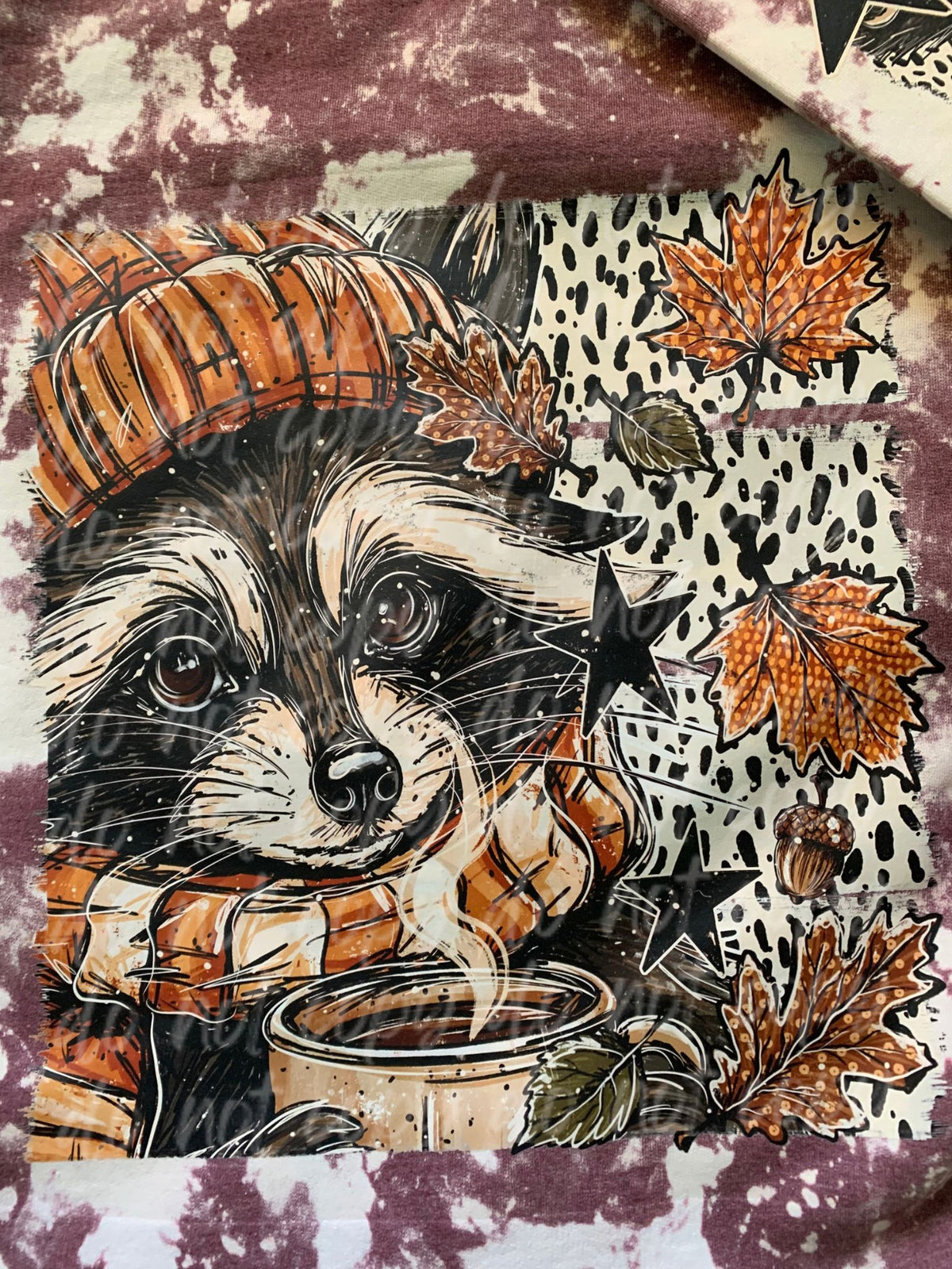 Fall Raccoon Crewneck